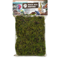 Back Zoo Nature Forest Moss For Reptiles